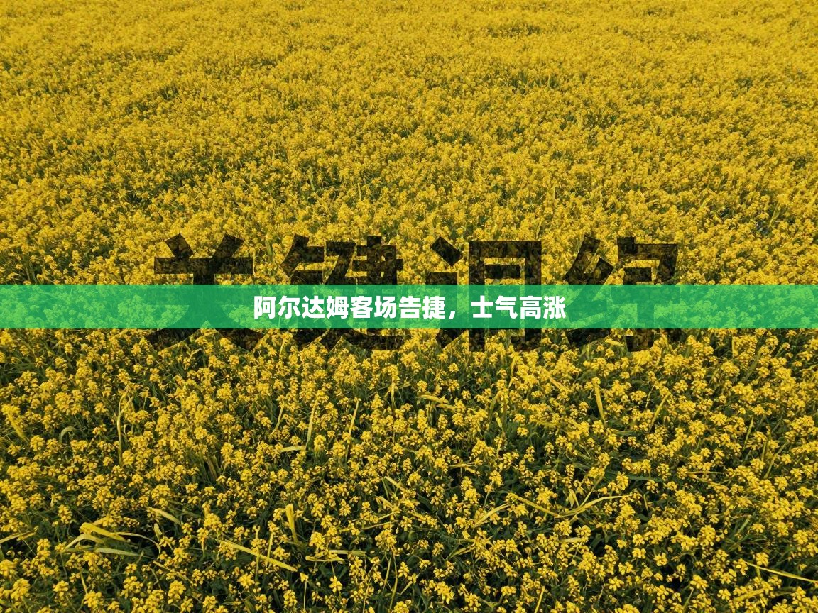 阿尔达姆客场告捷,士气高涨 第1张