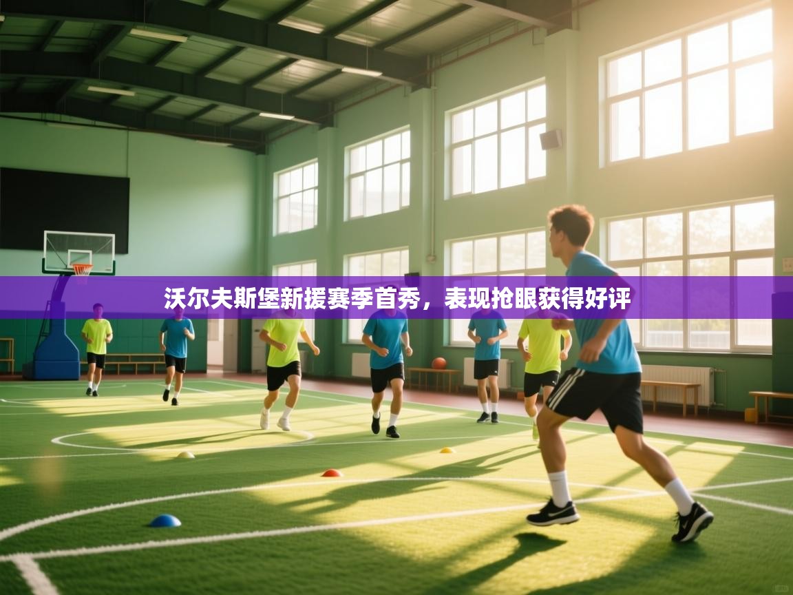 沃尔夫斯堡新援赛季首秀，表现抢眼获得好评  第2张