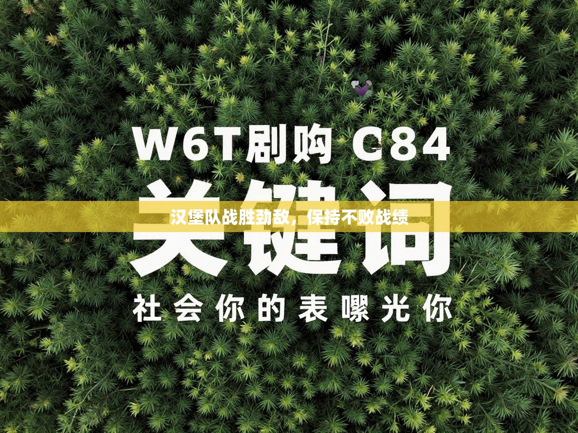 汉堡队战胜劲敌，保持不败战绩  第2张