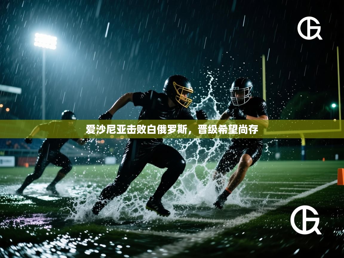 爱沙尼亚击败白俄罗斯，晋级希望尚存  第1张