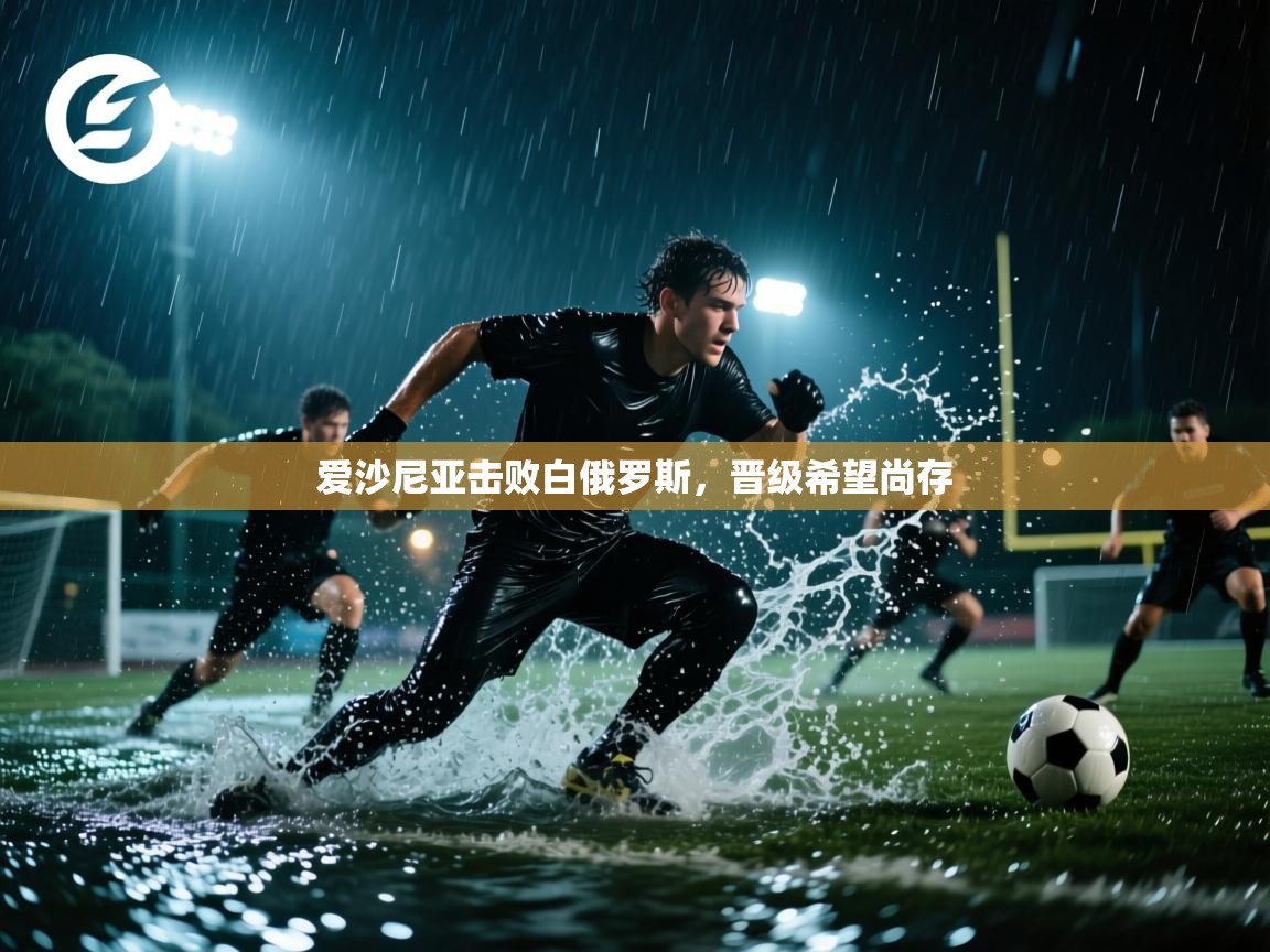 爱沙尼亚击败白俄罗斯，晋级希望尚存  第2张