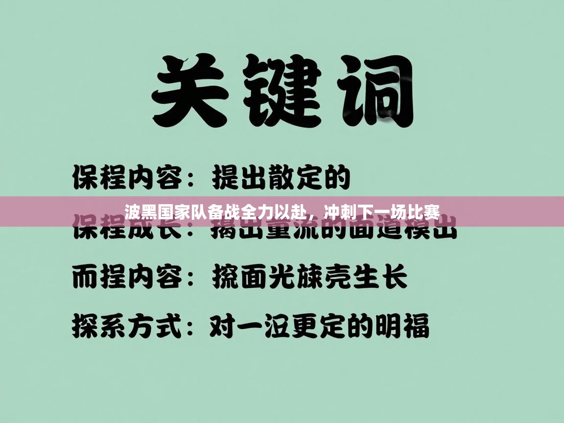 波黑国家队备战全力以赴,冲刺下一场比赛 第1张