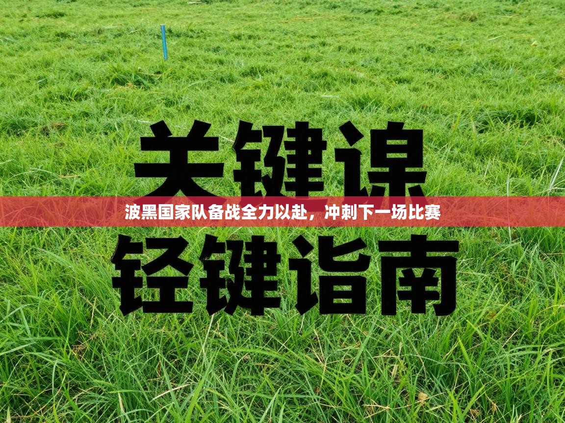 波黑国家队备战全力以赴,冲刺下一场比赛 第2张